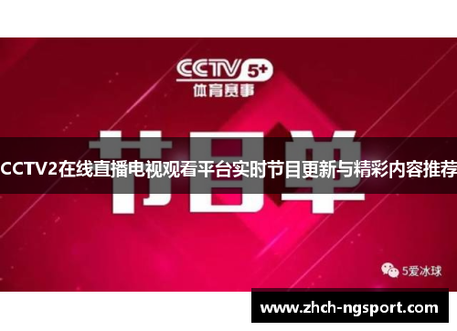 CCTV2在线直播电视观看平台实时节目更新与精彩内容推荐